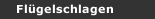 Fl&uuml;gelschlagen