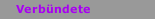 Verb&uuml;ndete